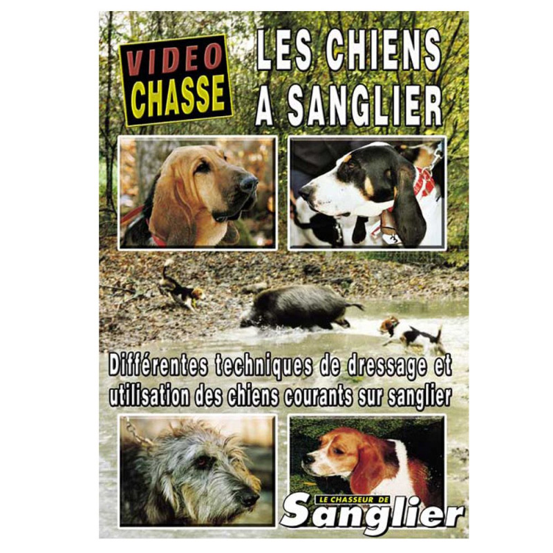 Dvd : Les Chiens � Sanglier (in het Frans)