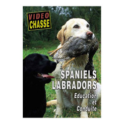 DVD : Les labradors et spaniels