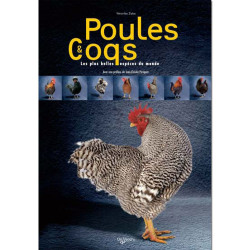 Boek: Poules Et Coqs (in het Frans)