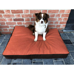 Coussin chien Hunter
