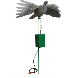 Appelant pigeon électrique...