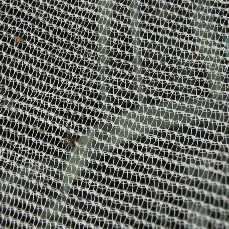 RHAFAYRE Filet Anti Insecte, 2.5 x 10 M Filet de Protection Anti