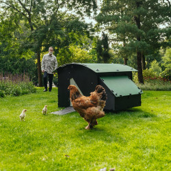 Gerecycleerd plastic kippenhok 8 tot 15 kippen