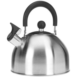 Waterkoker geborsteld inox...
