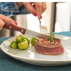 Couteaux Steak Inox 3cr14...