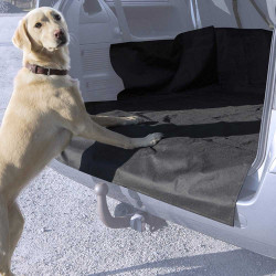 Protection coffre chien...