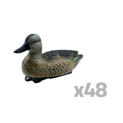 Wintertaling 48 stuks -...
