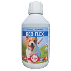Behandeling Reuma Hond -...
